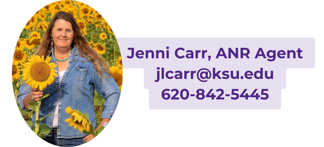 Jenni Carr