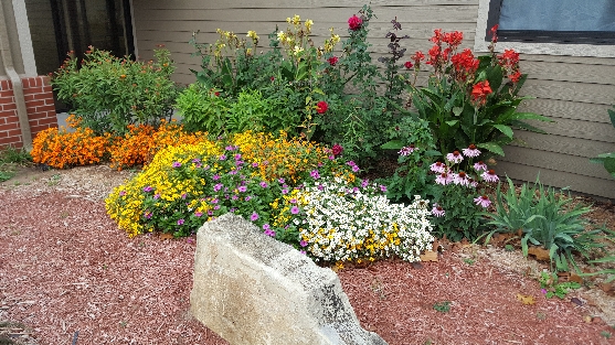 office demo garden