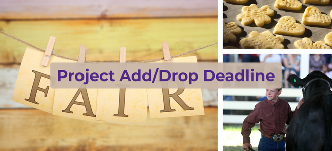 project_add_drop
