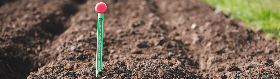 Soil Temperature_1